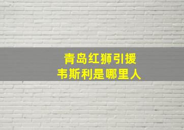 青岛红狮引援韦斯利是哪里人