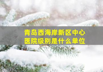 青岛西海岸新区中心医院级别是什么单位