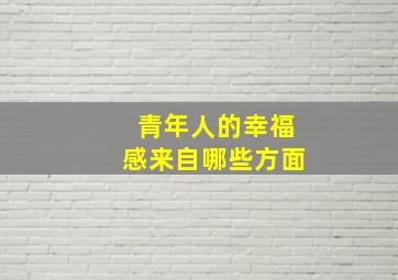 青年人的幸福感来自哪些方面