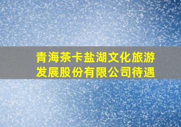 青海茶卡盐湖文化旅游发展股份有限公司待遇