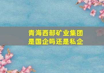 青海西部矿业集团是国企吗还是私企