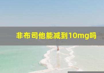 非布司他能减到10mg吗