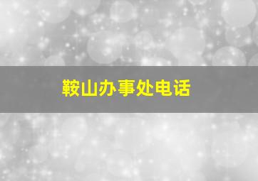 鞍山办事处电话