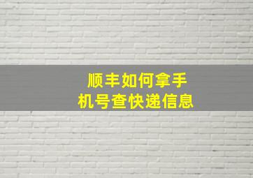 顺丰如何拿手机号查快递信息