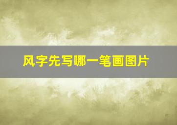 风字先写哪一笔画图片