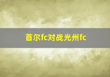 首尔fc对战光州fc