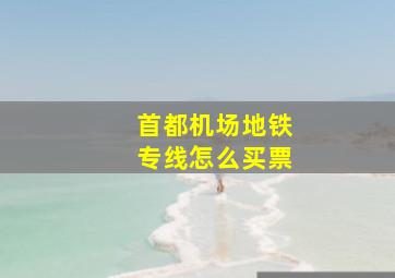 首都机场地铁专线怎么买票