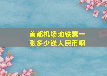 首都机场地铁票一张多少钱人民币啊