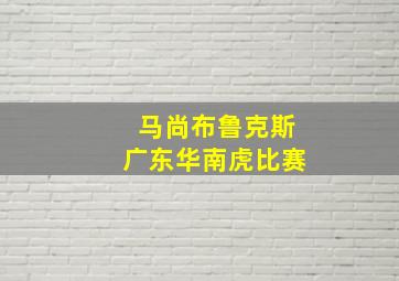 马尚布鲁克斯广东华南虎比赛