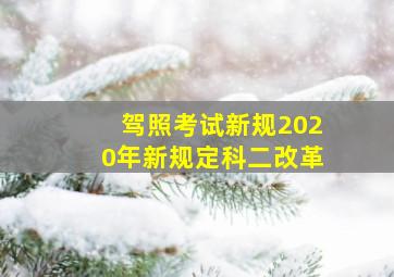 驾照考试新规2020年新规定科二改革