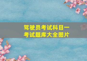 驾驶员考试科目一考试题库大全图片