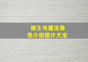 骑士与魔法角色介绍图片大全