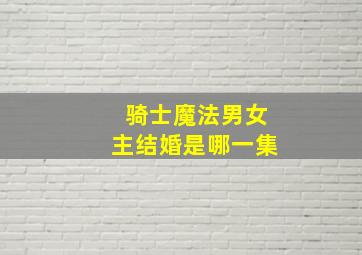 骑士魔法男女主结婚是哪一集