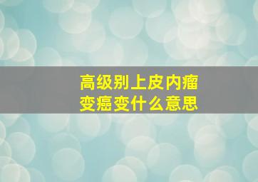 高级别上皮内瘤变癌变什么意思