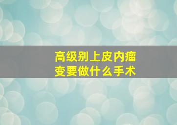 高级别上皮内瘤变要做什么手术