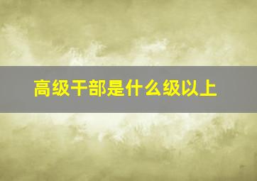 高级干部是什么级以上