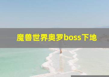 魔兽世界奥罗boss下地