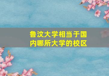 鲁汶大学相当于国内哪所大学的校区