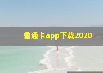 鲁通卡app下载2020