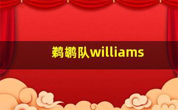 鹈鹕队williams