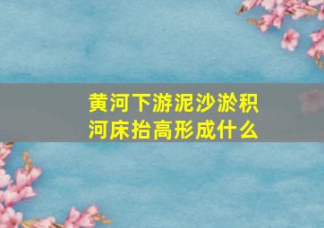 黄河下游泥沙淤积河床抬高形成什么