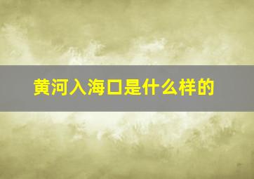 黄河入海口是什么样的