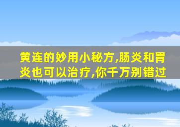 黄连的妙用小秘方,肠炎和胃炎也可以治疗,你千万别错过