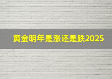 黄金明年是涨还是跌2025