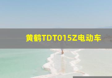 黄鹤TDT015Z电动车