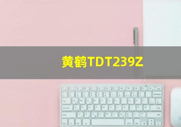 黄鹤TDT239Z