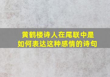 黄鹤楼诗人在尾联中是如何表达这种感情的诗句