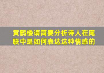 黄鹤楼请简要分析诗人在尾联中是如何表达这种情感的