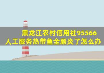 黑龙江农村信用社95566人工服务热带鱼全肠炎了怎么办