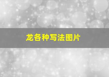 龙各种写法图片