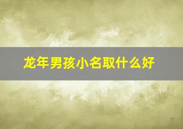 龙年男孩小名取什么好