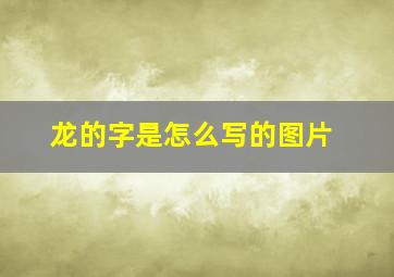 龙的字是怎么写的图片