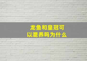 龙鱼和皇冠可以混养吗为什么