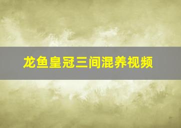 龙鱼皇冠三间混养视频