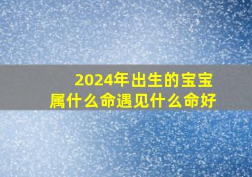 2024年出生的宝宝属什么命遇见什么命好