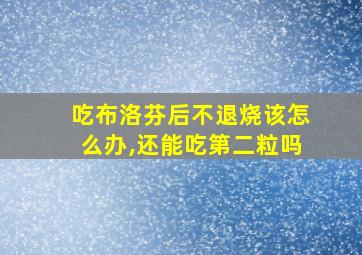 吃布洛芬后不退烧该怎么办,还能吃第二粒吗