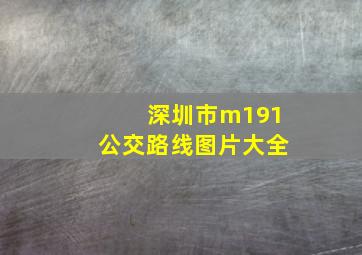 深圳市m191公交路线图片大全