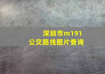 深圳市m191公交路线图片查询