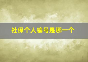 社保个人编号是哪一个